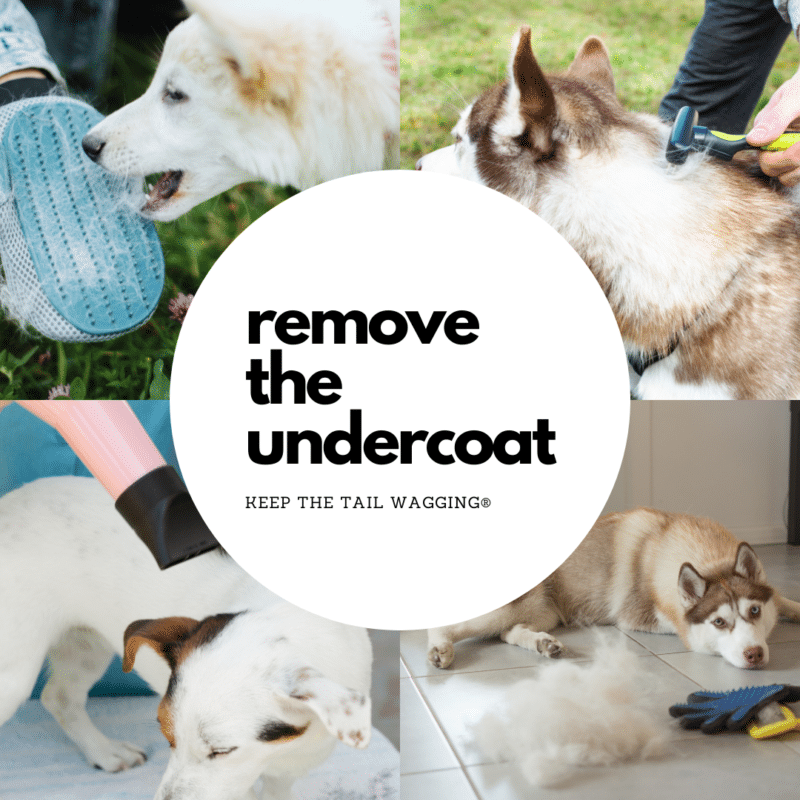 How Do I Get Rid Of My Dogs Undercoat