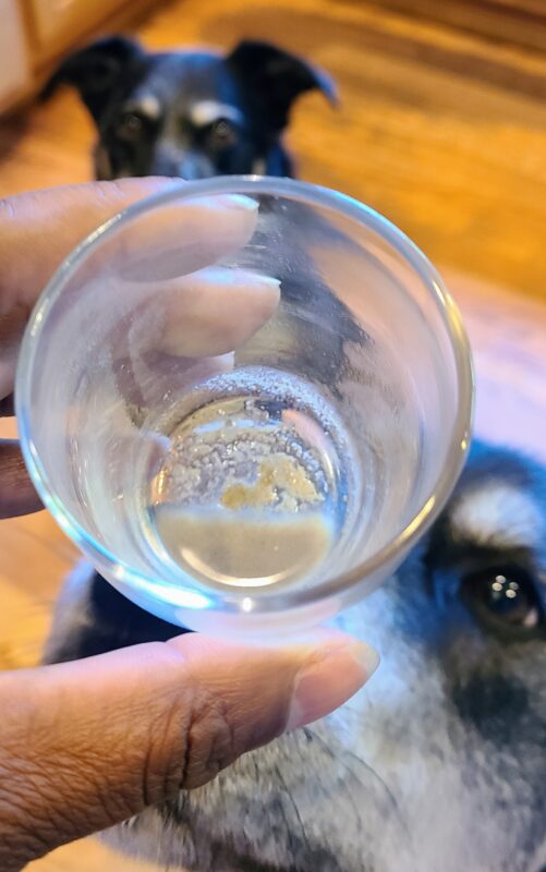 Has Answers Pet Food’s Fermented Fish Stock Changed? [Video]