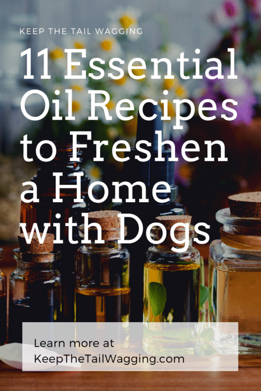 Are Diffusing Oils Bad For Dogs