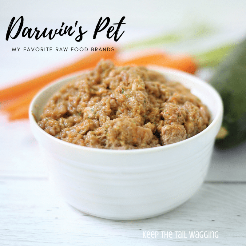 10 Top Raw Food Brands for Dogs and Cats [2021]