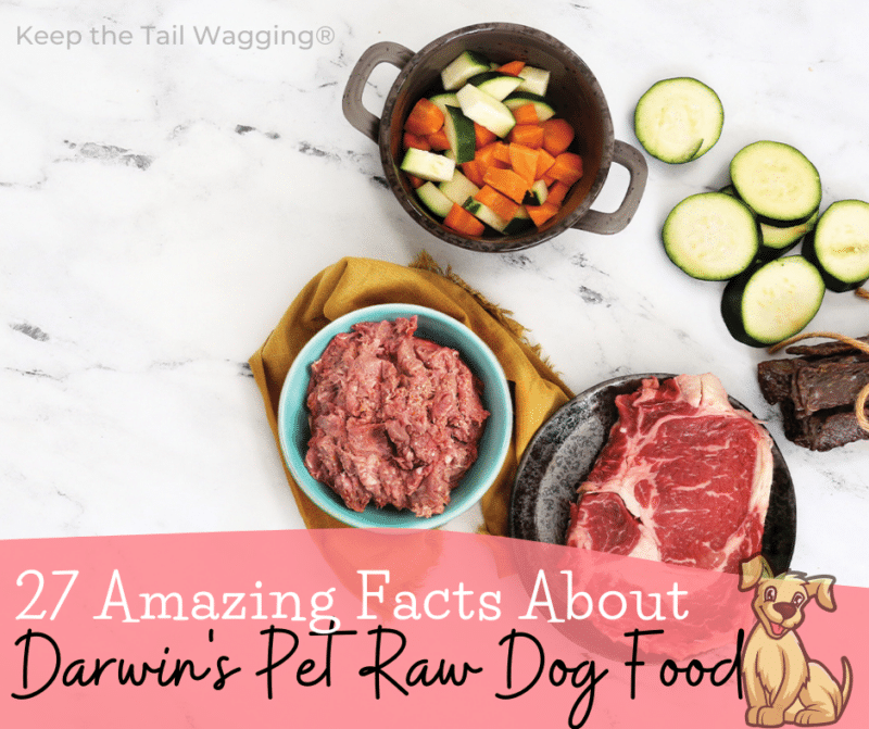 27 Amazing Facts About Darwin’s Pet Raw Dog Food