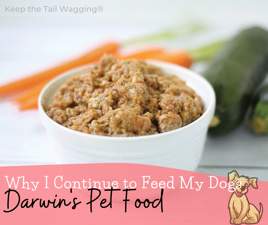 Why I Continue To Feed My Dogs Darwin s Pet Food Why I Continue To Feed My Dogs Darwin s Pet Food