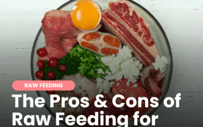 The Pros and Cons of Raw Feeding for Dogs