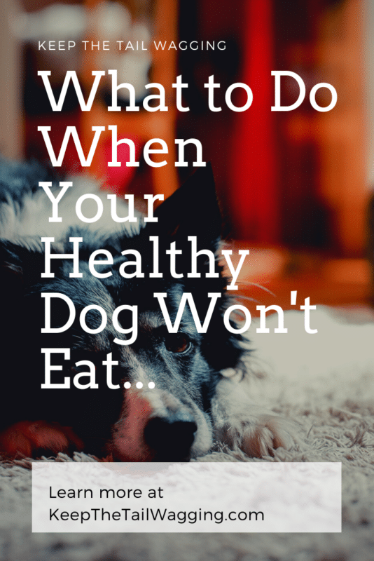 Sometimes an otherwise healthy dog won't eat. In my experience, this can be caused by many reasons and in this post, I share what I do when a dog skips a meal.