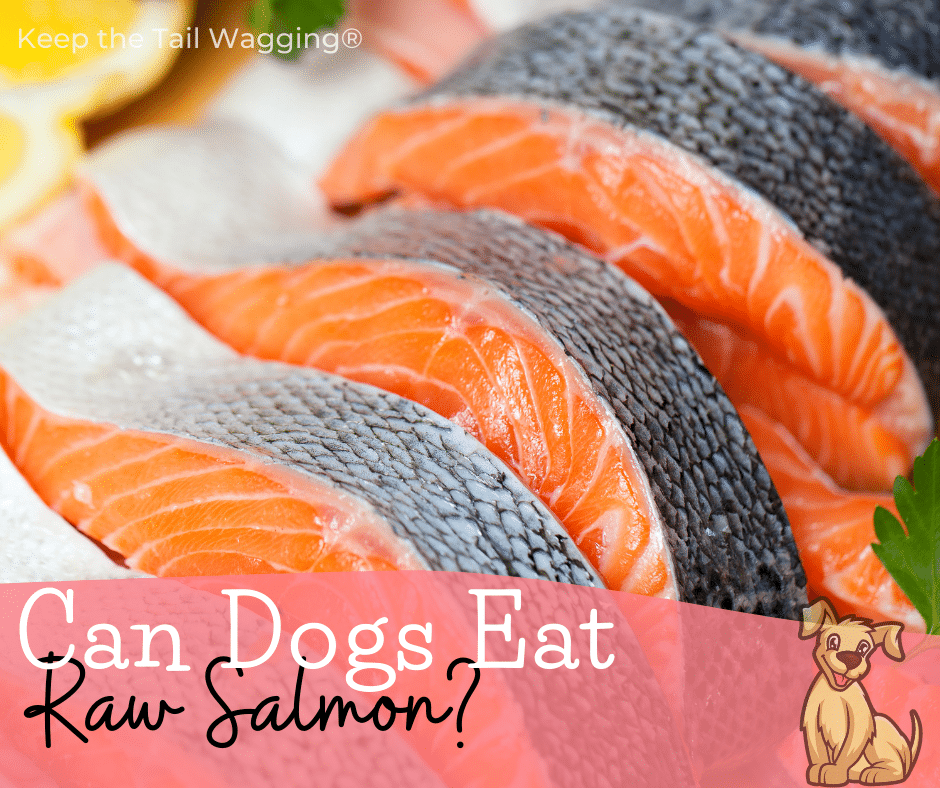 scratching post argos