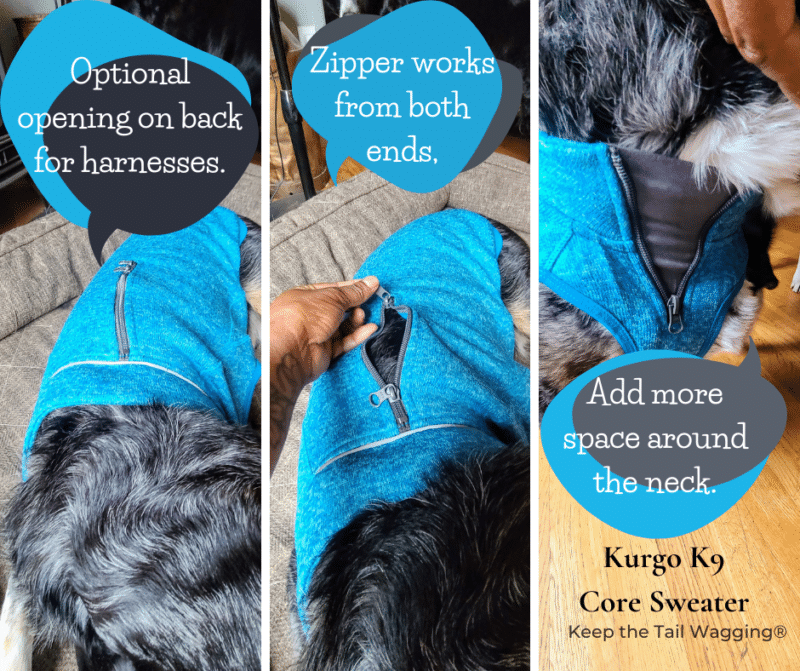 5 Reasons Kurgo Dog Coats are the Best