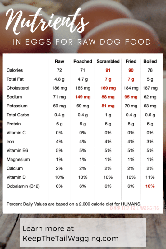Best Way to Cook Eggs for Dogs Keep the Tail Wagging Raw Feeder Life