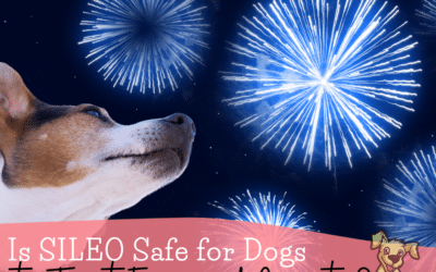 Is SILEO Safe for Dogs to Treat Fear and Anxiety?