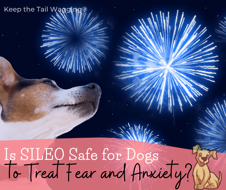 Are Fireworks Dangerous For Dogs