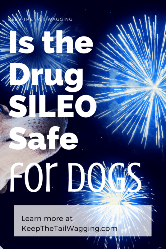 Is SILEO Safe for Dogs to Treat Fear and Anxiety?