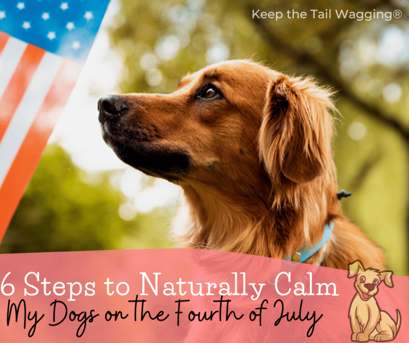 I've used CBD oil, essential oils, medication, and more to help my dogs on the Fourth of July. In 2021, I saw a video with a veterinarian sharing a drug-free technique that worked!  All that and more to get you read for the fireworks.