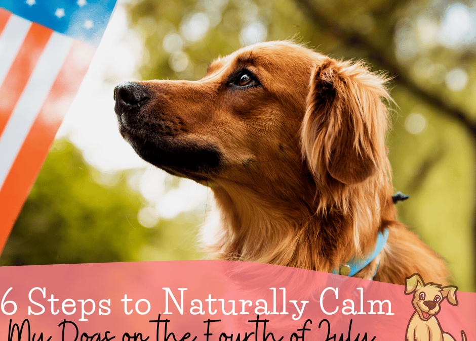 How to Calm Dogs Naturally on the Fourth of July