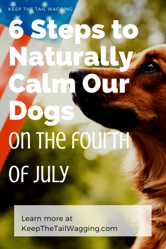 I've used CBD oil, essential oils, medication, and more to help my dogs on the Fourth of July. In 2021, I saw a video with a veterinarian sharing a drug-free technique that worked!  All that and more to get you read for the fireworks.