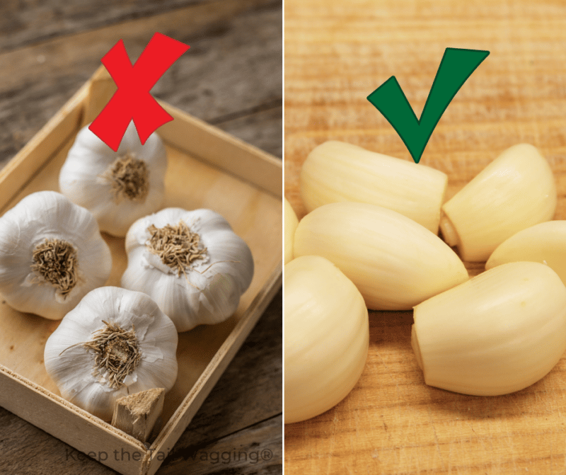 An Easy Bone Broth Recipe to Boost Your Dog’s Health