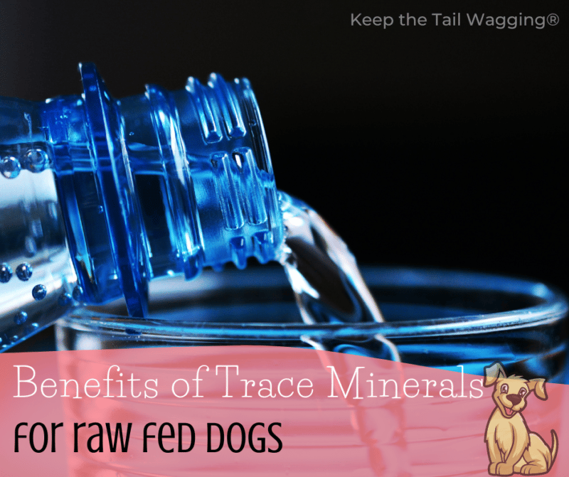 I read that our soil is deficient in many minerals and in my deep dive into the benefits of trace minerals for raw fed dogs, I learned a lot about the benefits and the risks of trace minerals and, specifically, boron.