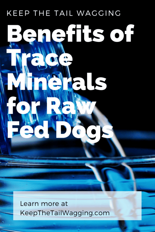 I read that our soil is deficient in many minerals and in my deep dive into the benefits of trace minerals for raw fed dogs, I learned a lot about the benefits and the risks of trace minerals and, specifically, boron.