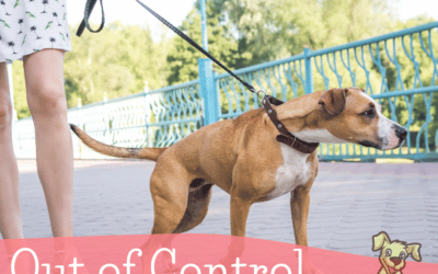 The FREE Out of Control Dog Summit (2023)