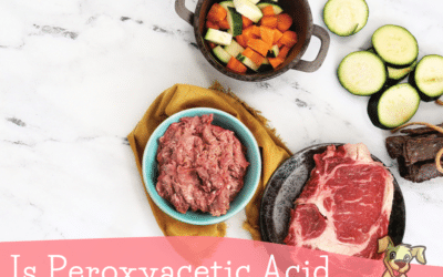 Is Peroxyacetic Acid (PAA) Safe for Pets?