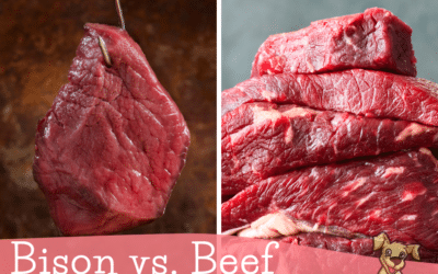 Grass-Fed Beef vs. Bison for Raw-Fed Dogs