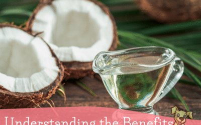 Understanding the Benefits of MCT Oil for Dogs