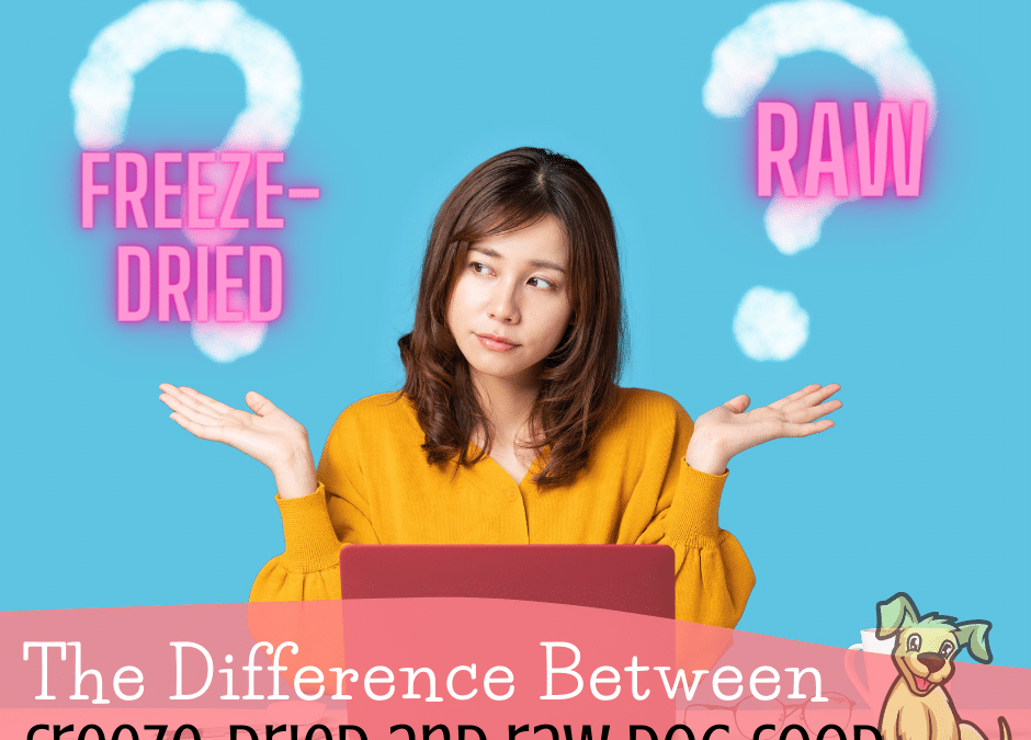 The Difference Between Freeze-Dried and Raw Dog Food