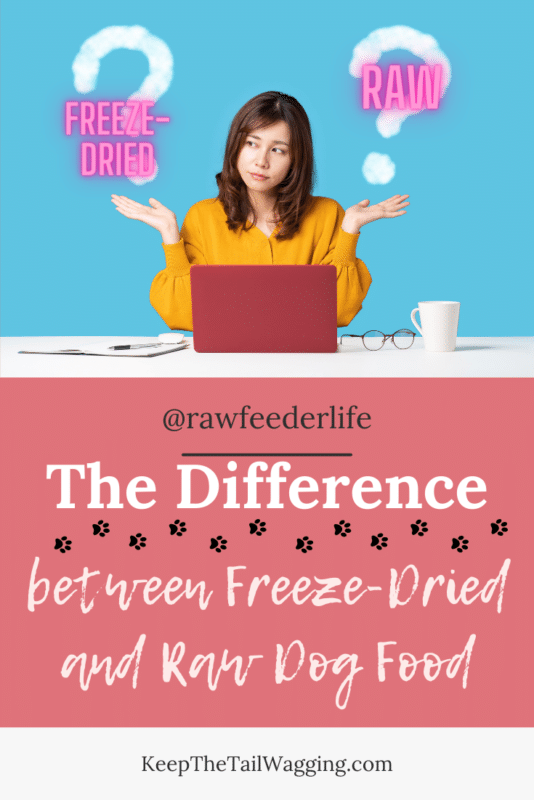 The Difference Between FreezeDried and Raw Dog Food