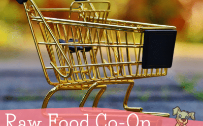 The Amazing Foods You Can Find at a Raw Food Co-Op
