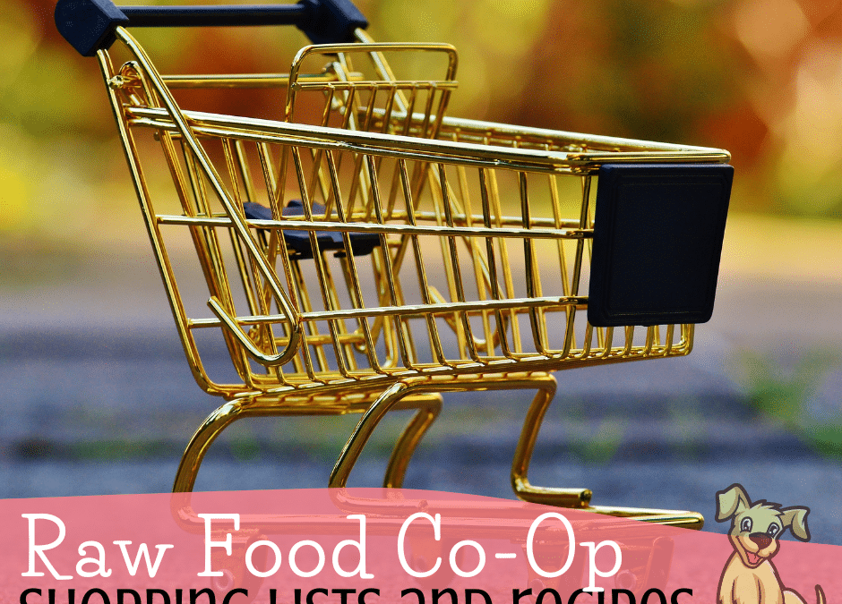 The Amazing Foods You Can Find at a Raw Food Co-Op