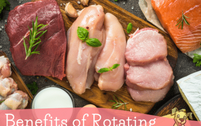 Benefits of Rotating Proteins in a Raw Diet for Dogs