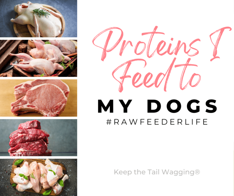 Benefits of Rotating Proteins in a Raw Diet for Dogs