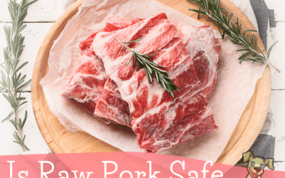 Is Raw Pork Safe to Feed to Dogs?
