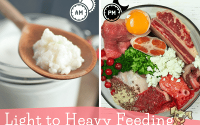 Benefits of Light to Heavy Feeding for Raw Fed Dogs