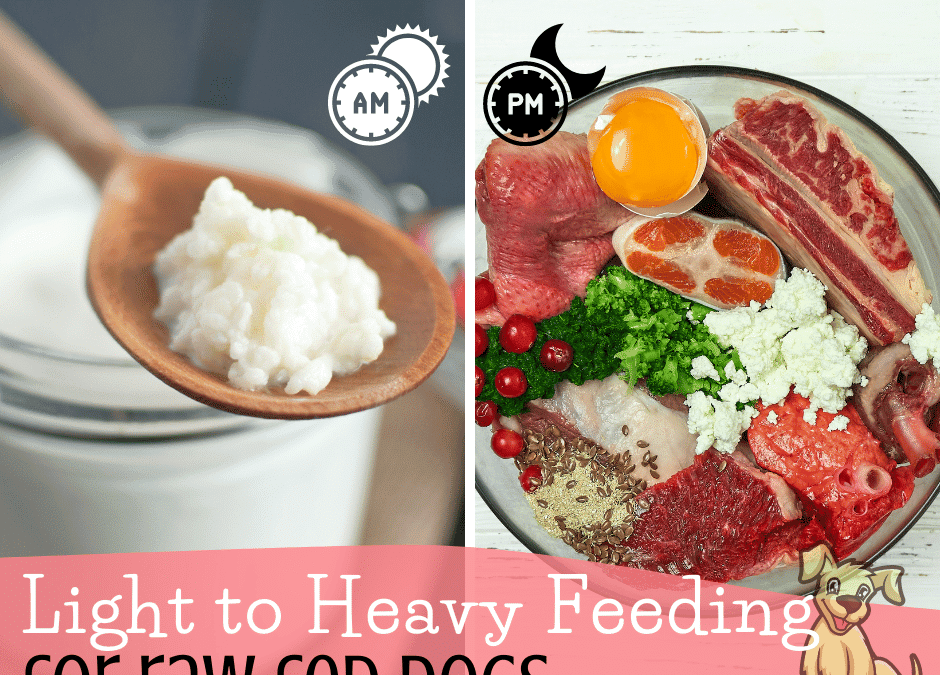 Benefits of Light to Heavy Feeding for Raw Fed Dogs