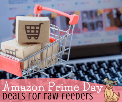 Amazon Prime Day Deals for Raw Feeders