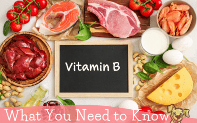 What You Need to Know About B Vitamins for Dogs