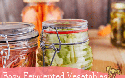 Easy Fermented Vegetables Recipe for Dogs