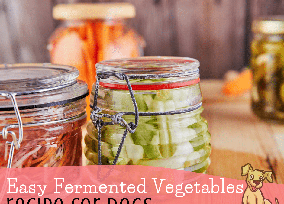 Easy Fermented Vegetables Recipe for Dogs