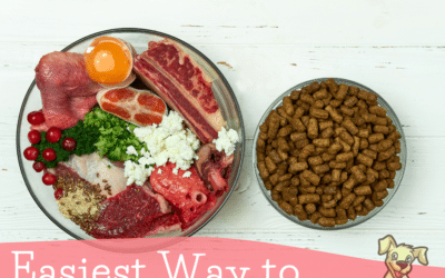 Easiest Way to Transition a Dog to a Raw Diet