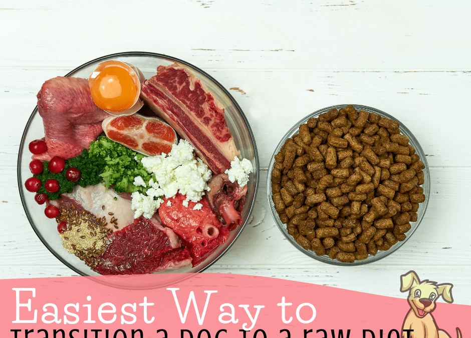 Easiest Way to Transition a Dog to a Raw Diet