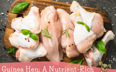 Guinea Hen: A Nutrient-Rich Addition To Raw Dog Diets