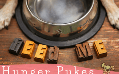 Easy Home Remedies for Hunger Pukes in Raw Fed Dogs