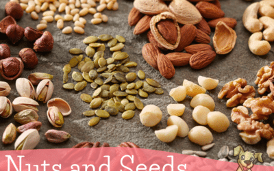 Nuts and Seeds You Can Share with Your Dog