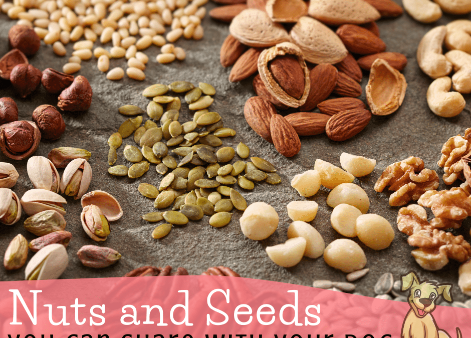 Nuts and Seeds You Can Share with Your Dog