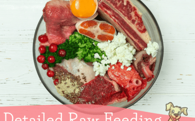 Simplify Feeding Dogs with this Easy Raw Feeding Chart