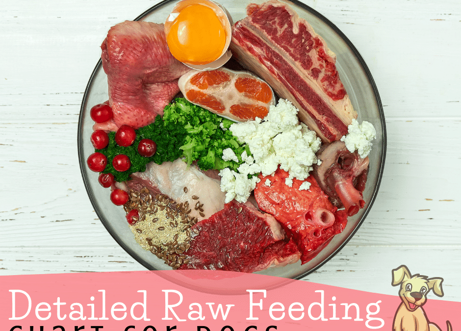 Simplify Feeding Dogs with this Easy Raw Feeding Chart