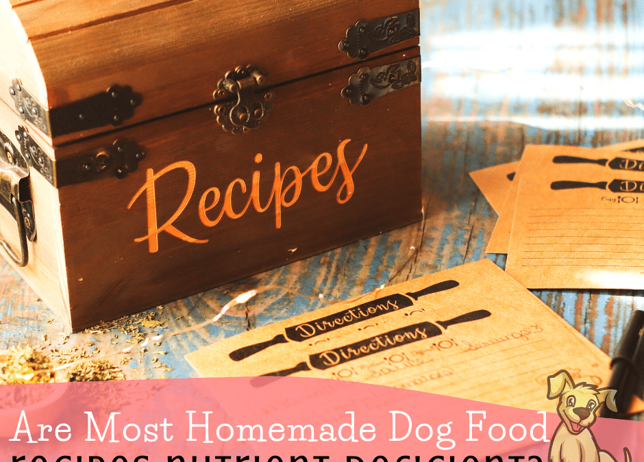 Are Most Homemade Dog Food Recipes Nutrient Deficient?