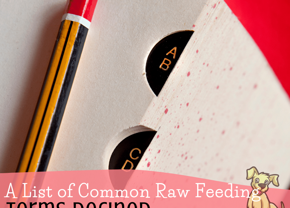 A Complete Glossary of Common Raw Feeding Terms Used by Dog Owners