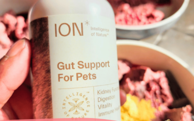 Amazing Benefits Of Humic Extract For Gut Health In Dogs
