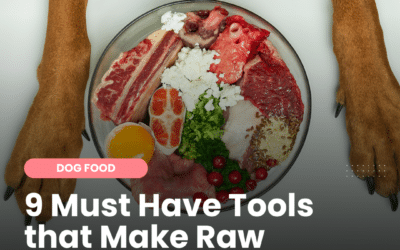 Raw Feeding Made Easier with These 9 Must Have Tools