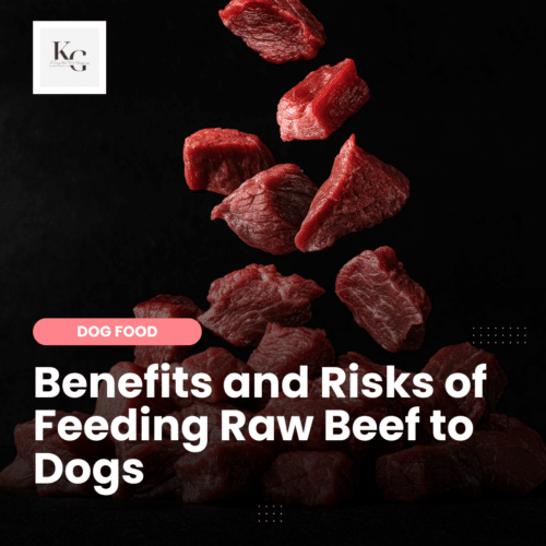 Unlocking The Health Secrets Of Gussy s Gut For Dogs unlocking-the-health-secrets-of-gussy-s-gut-for-dogs